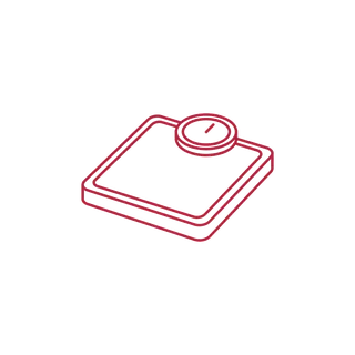 Weighing scale icon